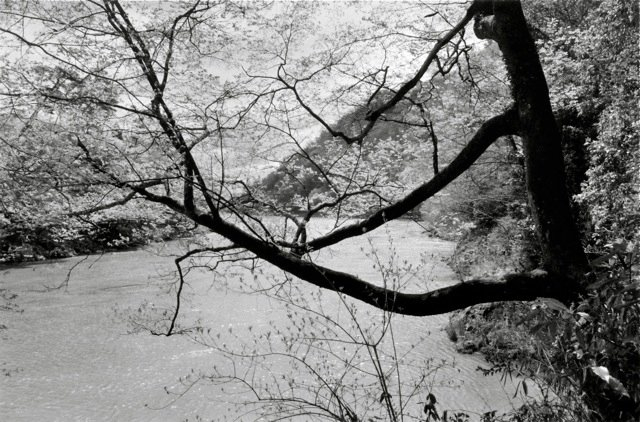 2. Kyoto, 1984